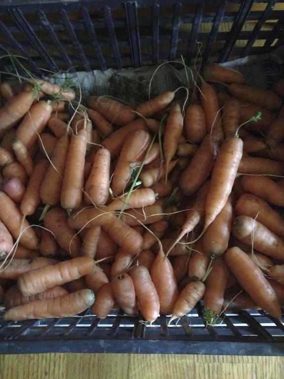 Appartamento Casa Weisstor Con Patio, Giardino E Orti Vista Monte Rosa Macugnaga Bagian luar foto
